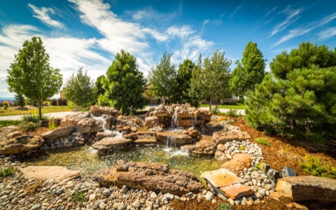 Waterfall and pond in a sunny yard with trees