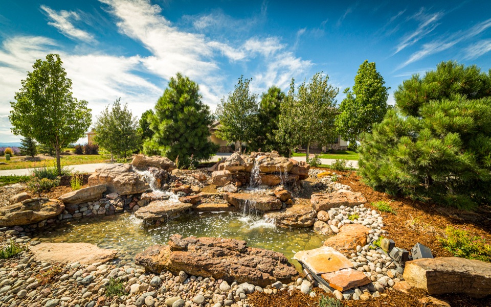 Waterfall and pond in a sunny yard with trees