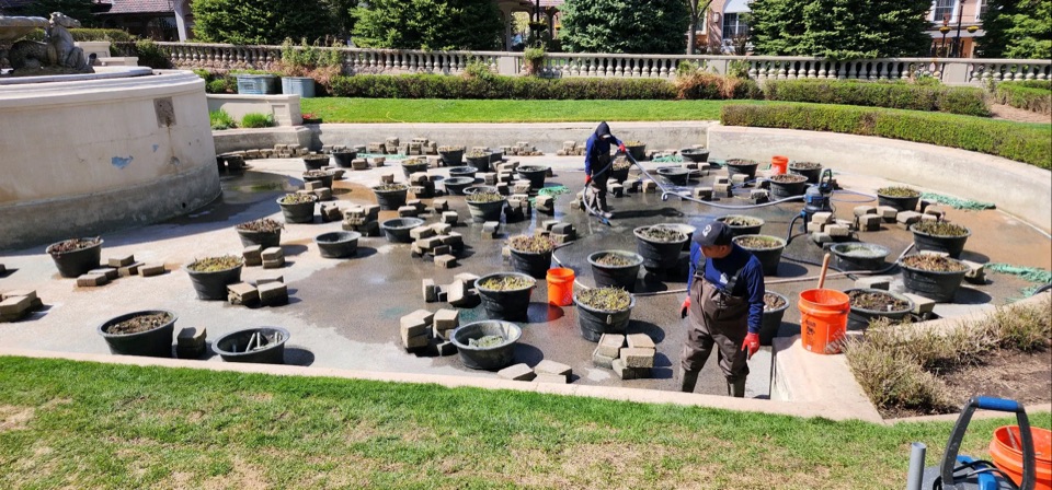 Arvada, ColoradoPond cleaning & maintenance in ArvadaKeep your water features pr