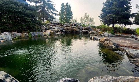Large natural pond