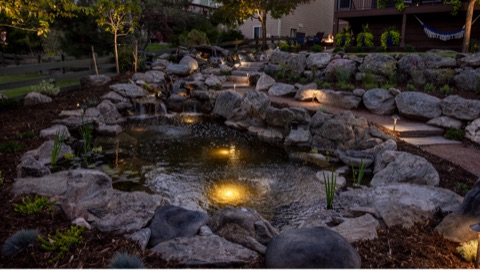 Why backyard water features reduce stress
