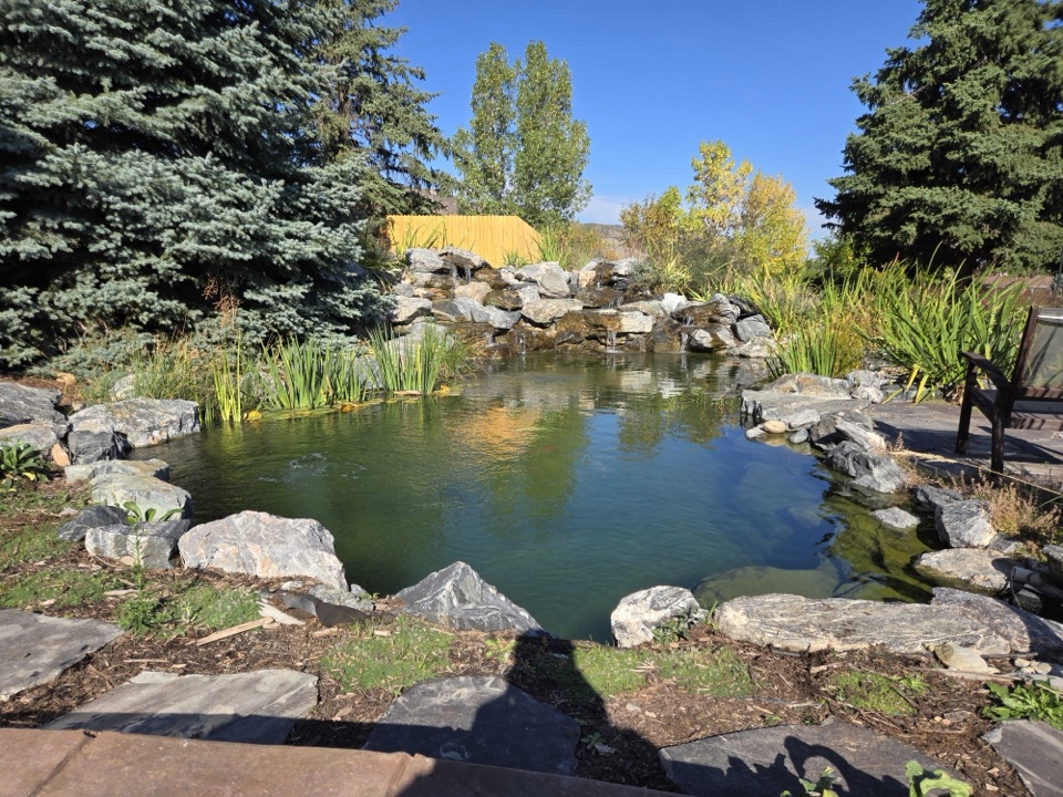 Irrigation techniques to help reduce water usage in landscapes