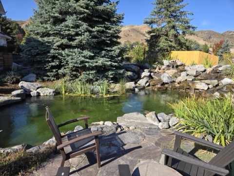 Pond maintenance