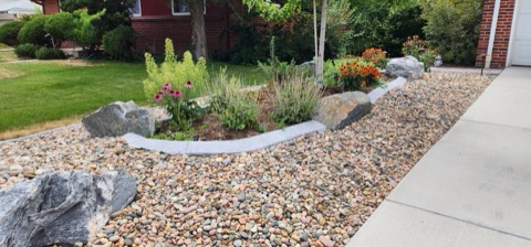 River rock bed with curved concrete edging, boulders and coneflowers