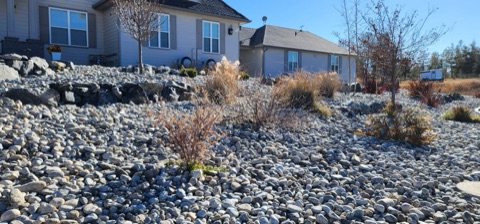 River rock slope with a boulder wall and ornamental grasses in winter